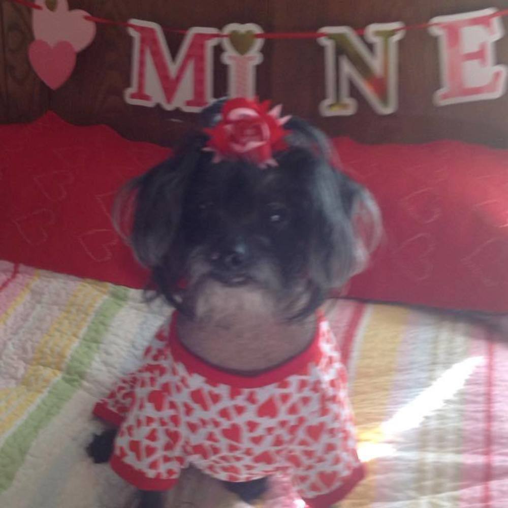 Meet your Posher, Diane